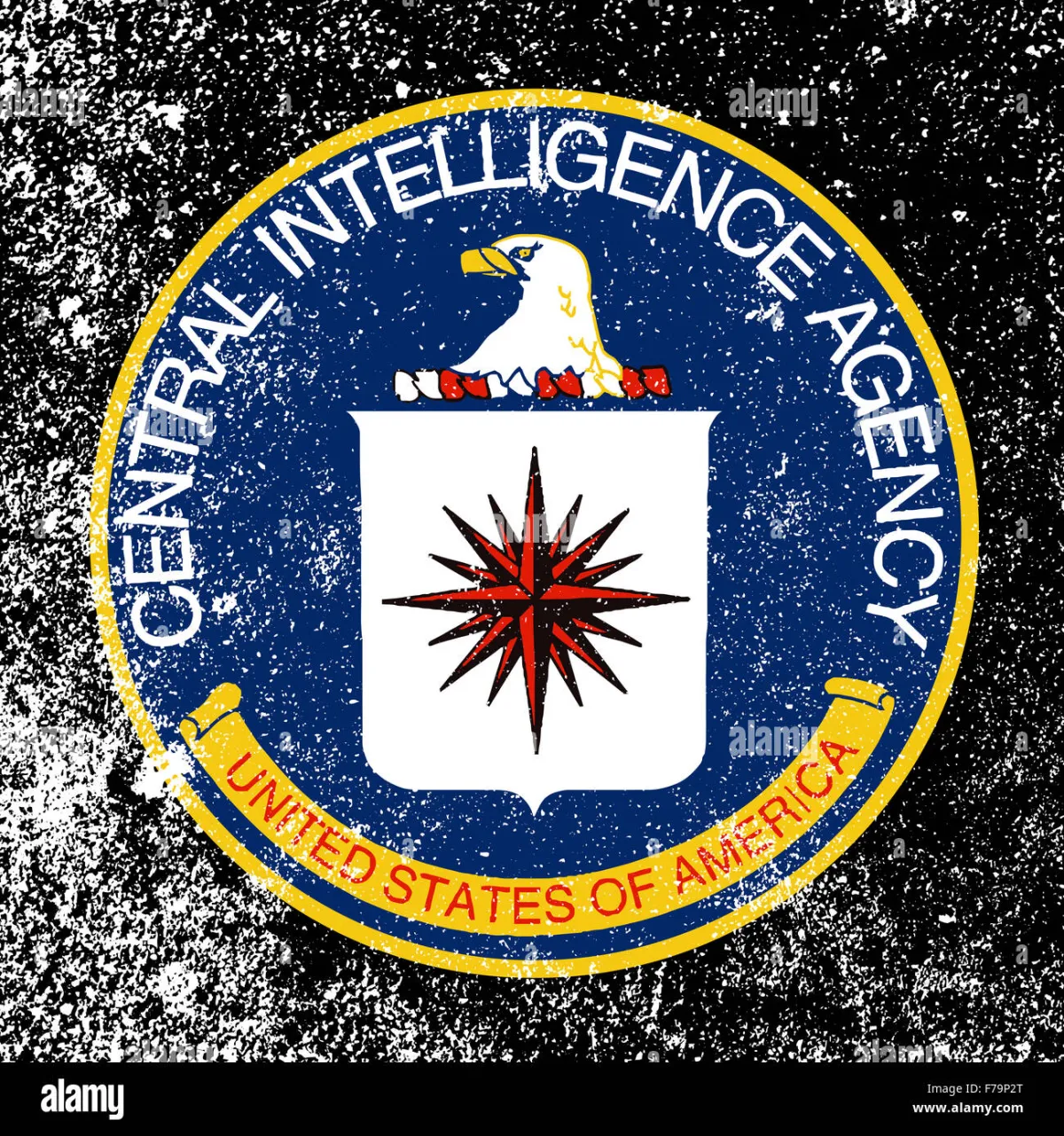 Central Intelligence Agency