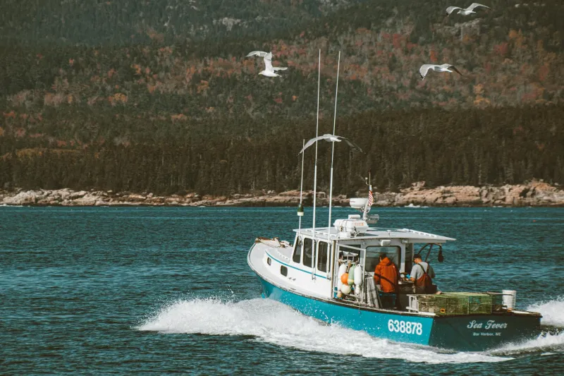 The Lobster Trap Victory: When 300 Maine Fishermen Accidentally Beat the U.S. Navy
